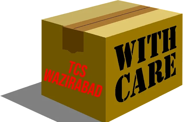 TCS Wazirabad