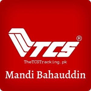 tcs mandi bahauddin